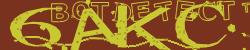 BotCaptcha.