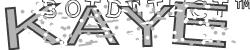 BotCaptcha.