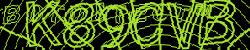 BotCaptcha.