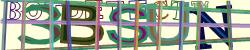 BotCaptcha.