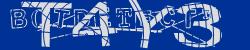 BotCaptcha.