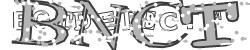 BotCaptcha.