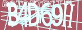 BotCaptcha.