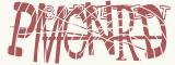 BotCaptcha.