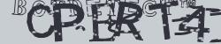 BotCaptcha.