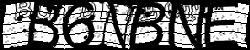 BotCaptcha.