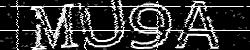 BotCaptcha.