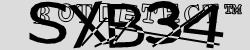 BotCaptcha.