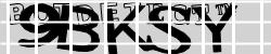BotCaptcha.