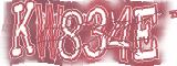 BotCaptcha.