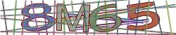 BotCaptcha.