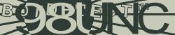 BotCaptcha.