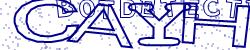 BotCaptcha.