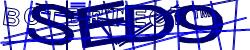 BotCaptcha.