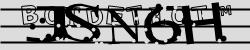 BotCaptcha.