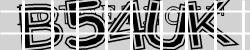 BotCaptcha.