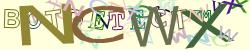 BotCaptcha.