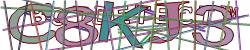 BotCaptcha.