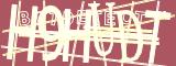 BotCaptcha.