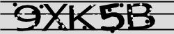 BotCaptcha.