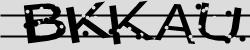 BotCaptcha.