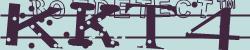 BotCaptcha.