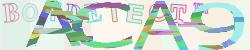 BotCaptcha.