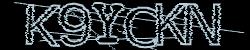 BotCaptcha.