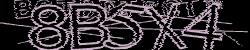 BotCaptcha.