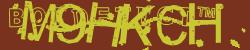 BotCaptcha.