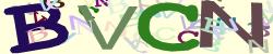 BotCaptcha.