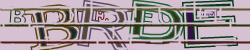 BotCaptcha.