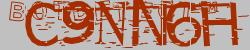 BotCaptcha.