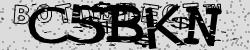 BotCaptcha.