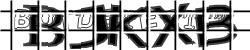 BotCaptcha.