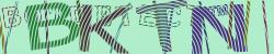 BotCaptcha.