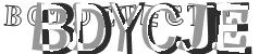 BotCaptcha.