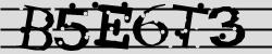 BotCaptcha.