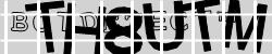 BotCaptcha.