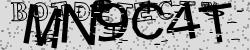 BotCaptcha.