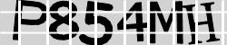 BotCaptcha.
