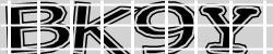 BotCaptcha.