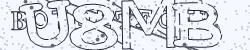 BotCaptcha.