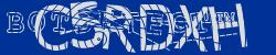 BotCaptcha.