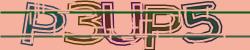 BotCaptcha.