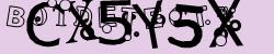 BotCaptcha.