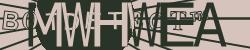 BotCaptcha.