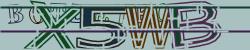 BotCaptcha.