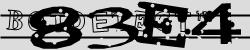 BotCaptcha.