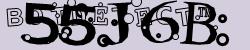 BotCaptcha.
